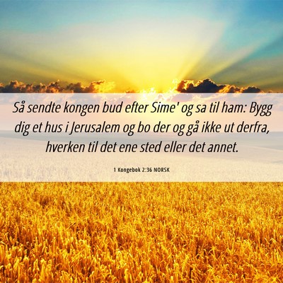 Picture 06 - 1 Kongebok 2:36 NORSK - Så sendte kongen bud efter Sime' og sa til ham: - Bible Verse Picture