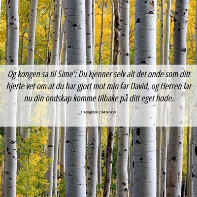 Picture 06 - 1 Kongebok 2:44 NORSK - Og kongen sa til Sime': Du kjenner selv alt det - Bible Verse Picture