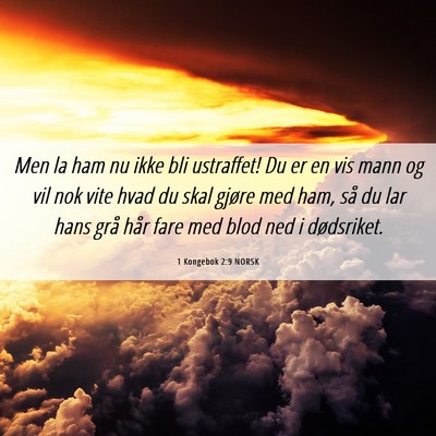 Picture 06 - 1 Kongebok 2:9 NORSK - Men la ham nu ikke bli ustraffet! Du er en vis - Bible Verse Picture