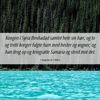 Picture 06 - 1 Kongebok 20:1 NORSK - Kongen i Syria Benhadad samlet hele sin hær, og - Bible Verse Picture