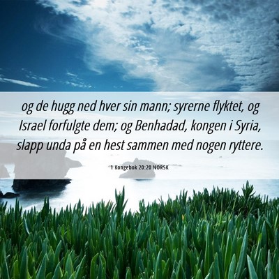 Picture 06 - 1 Kongebok 20:20 NORSK - og de hugg ned hver sin mann; syrerne flyktet, og - Bible Verse Picture