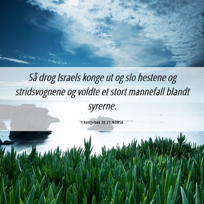 Picture 06 - 1 Kongebok 20:21 NORSK - Så drog Israels konge ut og slo hestene og - Bible Verse Picture