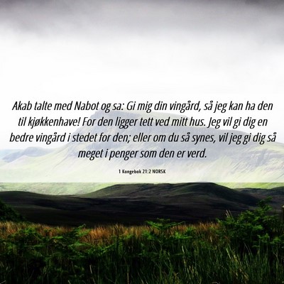 Picture 06 - 1 Kongebok 21:2 NORSK - Akab talte med Nabot og sa: Gi mig din vingård, - Bible Verse Picture