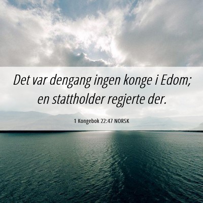 Picture 06 - 1 Kongebok 22:47 NORSK - Det var dengang ingen konge i Edom; en - Bible Verse Picture