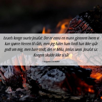 Picture 06 - 1 Kongebok 22:8 NORSK - Israels konge svarte Josafat: Der er ennu en mann - Bible Verse Picture