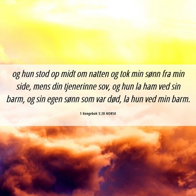 Picture 06 - 1 Kongebok 3:20 NORSK - og hun stod op midt om natten og tok min sønn - Bible Verse Picture