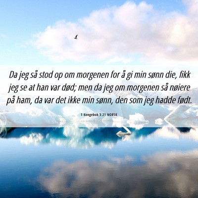 Picture 06 - 1 Kongebok 3:21 NORSK - Da jeg så stod op om morgenen for å gi min - Bible Verse Picture