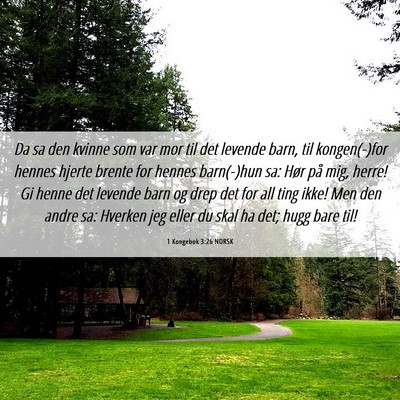 Picture 06 - 1 Kongebok 3:26 NORSK - Da sa den kvinne som var mor til det levende - Bible Verse Picture