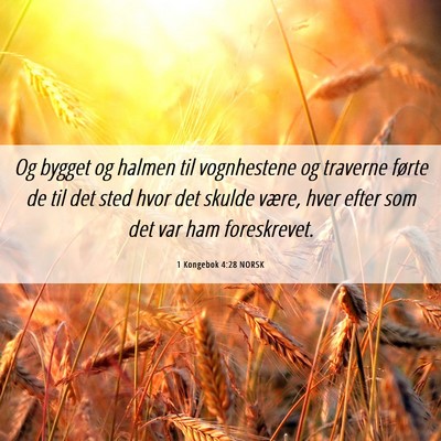 Picture 06 - 1 Kongebok 4:28 NORSK - Og bygget og halmen til vognhestene og traverne - Bible Verse Picture