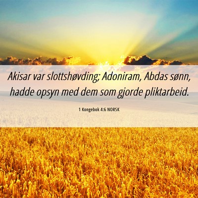 Picture 06 - 1 Kongebok 4:6 NORSK - Akisar var slottshøvding; Adoniram, Abdas sønn, - Bible Verse Picture