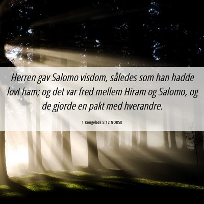 Picture 06 - 1 Kongebok 5:12 NORSK - Herren gav Salomo visdom, således som han hadde - Bible Verse Picture