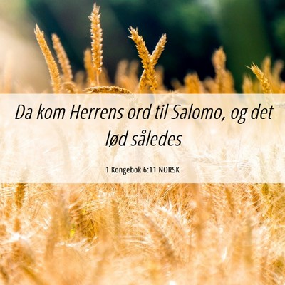 Picture 06 - 1 Kongebok 6:11 NORSK - Da kom Herrens ord til Salomo, og det lød - Bible Verse Picture