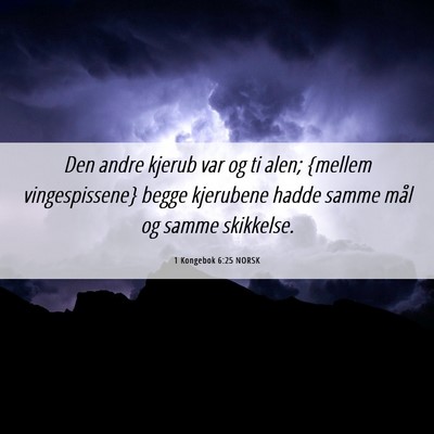 Picture 06 - 1 Kongebok 6:25 NORSK - Den andre kjerub var og ti alen; {mellem - Bible Verse Picture