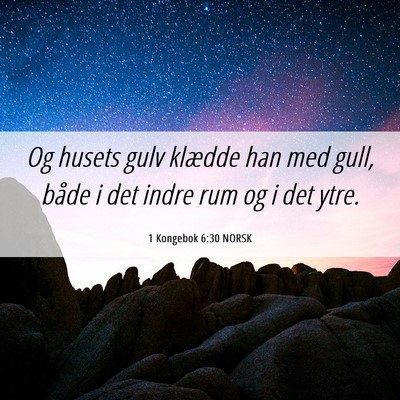 Picture 06 - 1 Kongebok 6:30 NORSK - Og husets gulv klædde han med gull, både i det - Bible Verse Picture