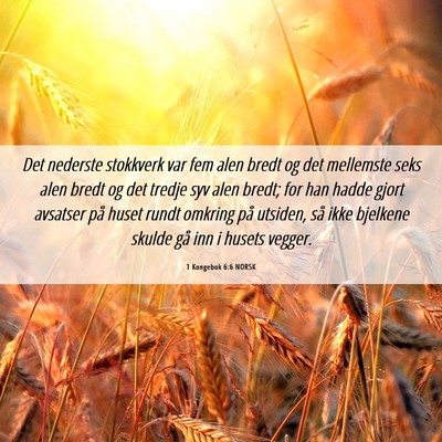 Picture 06 - 1 Kongebok 6:6 NORSK - Det nederste stokkverk var fem alen bredt og det - Bible Verse Picture