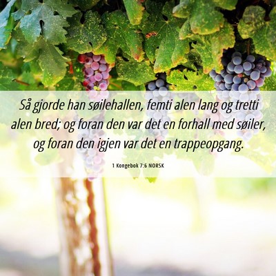 Picture 06 - 1 Kongebok 7:6 NORSK - Så gjorde han søilehallen, femti alen lang og - Bible Verse Picture