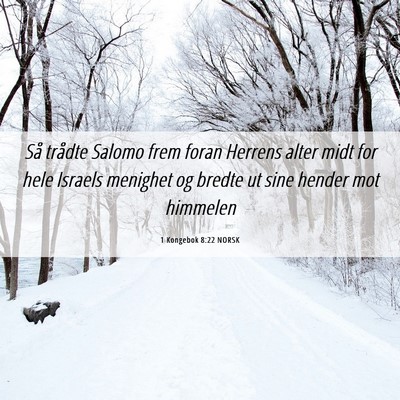 Picture 06 - 1 Kongebok 8:22 NORSK - Så trådte Salomo frem foran Herrens alter midt - Bible Verse Picture