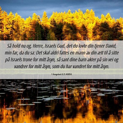 Picture 06 - 1 Kongebok 8:25 NORSK - Så hold nu og, Herre, Israels Gud, det du lovte - Bible Verse Picture