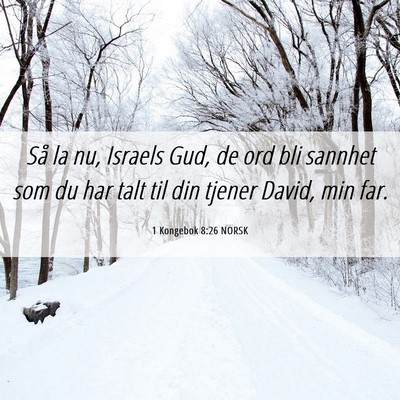 Picture 06 - 1 Kongebok 8:26 NORSK - Så la nu, Israels Gud, de ord bli sannhet som du - Bible Verse Picture