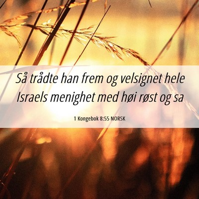 Picture 06 - 1 Kongebok 8:55 NORSK - Så trådte han frem og velsignet hele Israels - Bible Verse Picture
