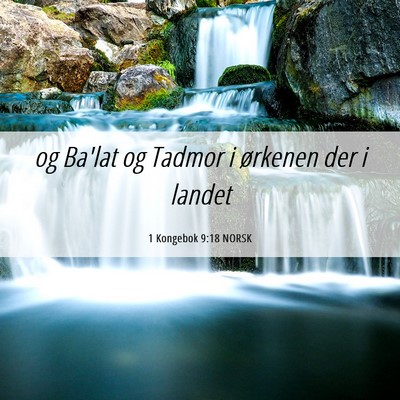Picture 06 - 1 Kongebok 9:18 NORSK - og Ba'lat og Tadmor i ørkenen der i - Bible Verse Picture
