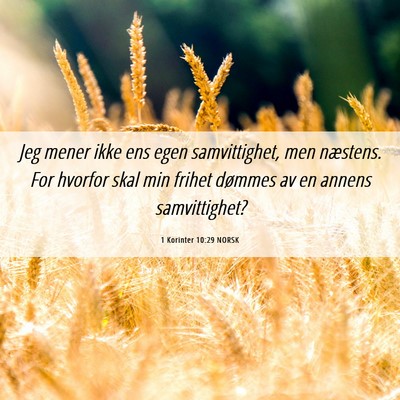 Picture 06 - 1 Korinter 10:29 NORSK - Jeg mener ikke ens egen samvittighet, men - Bible Verse Picture