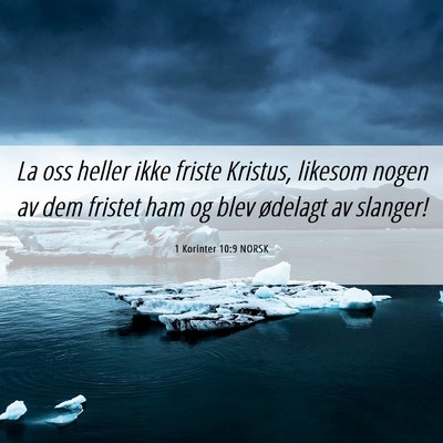 Picture 06 - 1 Korinter 10:9 NORSK - La oss heller ikke friste Kristus, likesom nogen - Bible Verse Picture