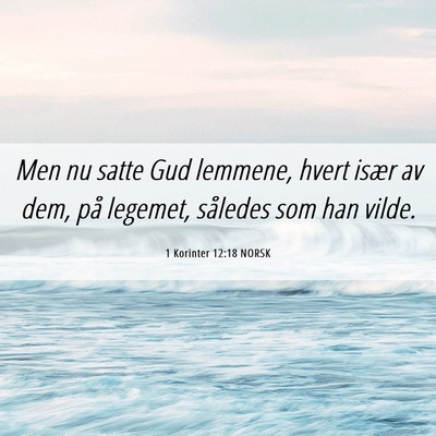 Picture 06 - 1 Korinter 12:18 NORSK - Men nu satte Gud lemmene, hvert især av dem, på - Bible Verse Picture