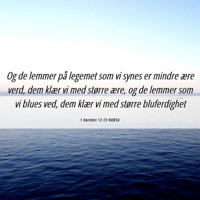 Picture 06 - 1 Korinter 12:23 NORSK - Og de lemmer på legemet som vi synes er mindre - Bible Verse Picture
