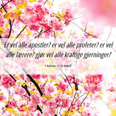 Picture 06 - 1 Korinter 12:29 NORSK - Er vel alle apostler? er vel alle profeter? er - Bible Verse Picture