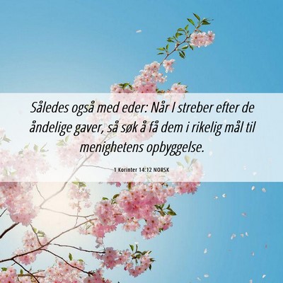 Picture 06 - 1 Korinter 14:12 NORSK - Således også med eder: Når I streber efter de - Bible Verse Picture