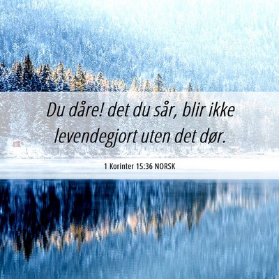 Picture 06 - 1 Korinter 15:36 NORSK - Du dåre! det du sår, blir ikke levendegjort - Bible Verse Picture