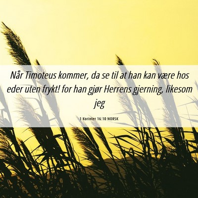 Picture 06 - 1 Korinter 16:10 NORSK - Når Timoteus kommer, da se til at han kan være - Bible Verse Picture