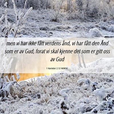Picture 06 - 1 Korinter 2:12 NORSK - men vi har ikke fått verdens ånd, vi har fått - Bible Verse Picture