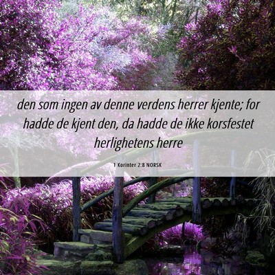 Picture 06 - 1 Korinter 2:8 NORSK - den som ingen av denne verdens herrer kjente; for - Bible Verse Picture