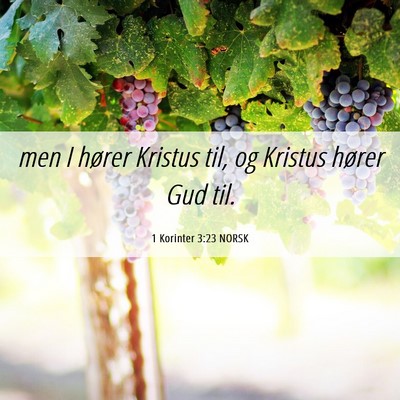 Picture 06 - 1 Korinter 3:23 NORSK - men I hører Kristus til, og Kristus hører Gud - Bible Verse Picture