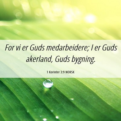 Picture 06 - 1 Korinter 3:9 NORSK - For vi er Guds medarbeidere; I er Guds akerland, - Bible Verse Picture