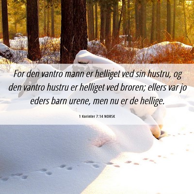 Picture 06 - 1 Korinter 7:14 NORSK - For den vantro mann er helliget ved sin hustru, - Bible Verse Picture