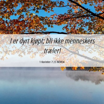 Picture 06 - 1 Korinter 7:23 NORSK - I er dyrt kjøpt; bli ikke menneskers - Bible Verse Picture
