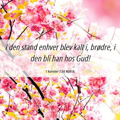 Picture 06 - 1 Korinter 7:24 NORSK - I den stand enhver blev kalt i, brødre, i den - Bible Verse Picture