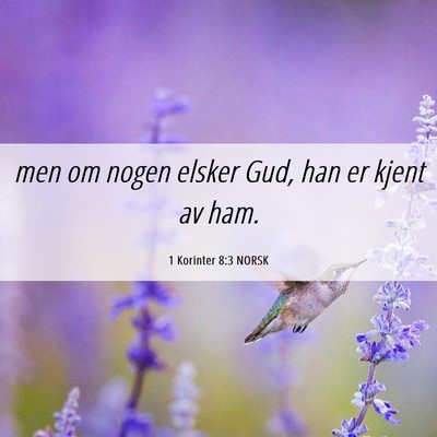 Picture 06 - 1 Korinter 8:3 NORSK - men om nogen elsker Gud, han er kjent av - Bible Verse Picture