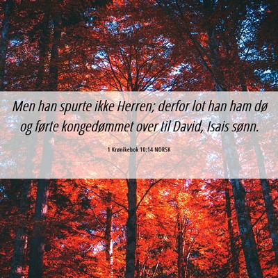 Picture 06 - 1 Krønikebok 10:14 NORSK - Men han spurte ikke Herren; derfor lot han ham - Bible Verse Picture