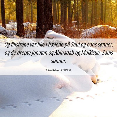 Picture 06 - 1 Krønikebok 10:2 NORSK - Og filistrene var like i hælene på Saul og hans - Bible Verse Picture