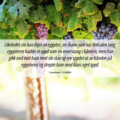 Picture 06 - 1 Krønikebok 11:23 NORSK - Likeledes slo han ihjel en egypter, en mann som - Bible Verse Picture