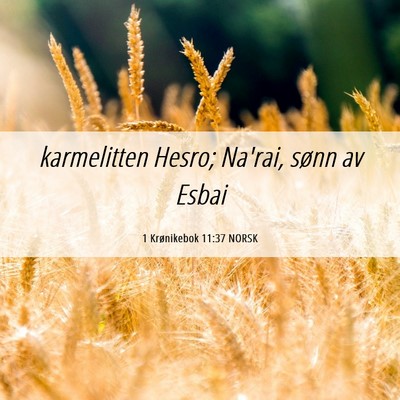Picture 06 - 1 Krønikebok 11:37 NORSK - karmelitten Hesro; Na'rai, sønn av - Bible Verse Picture