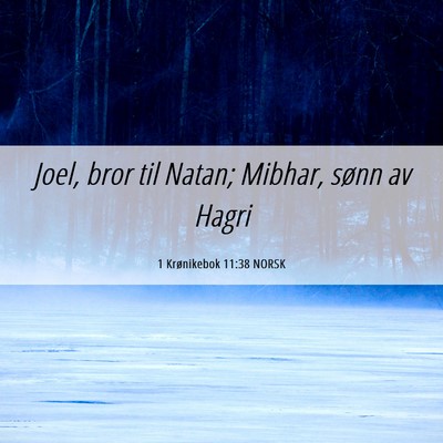 Picture 06 - 1 Krønikebok 11:38 NORSK - Joel, bror til Natan; Mibhar, sønn av - Bible Verse Picture
