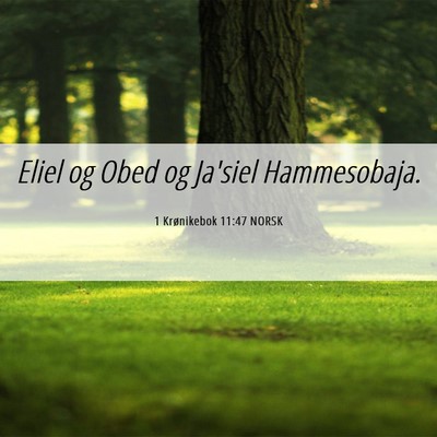 Picture 06 - 1 Krønikebok 11:47 NORSK - Eliel og Obed og Ja'siel - Bible Verse Picture