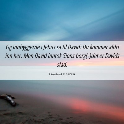 Picture 06 - 1 Krønikebok 11:5 NORSK - Og innbyggerne i Jebus sa til David: Du kommer - Bible Verse Picture