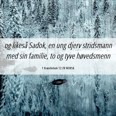 Picture 06 - 1 Krønikebok 12:28 NORSK - og likeså Sadok, en ung djerv stridsmann med sin - Bible Verse Picture