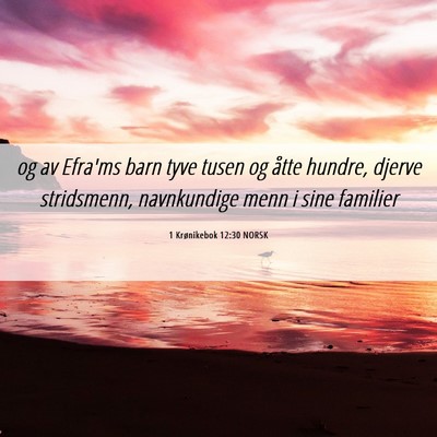 Picture 06 - 1 Krønikebok 12:30 NORSK - og av Efra'ms barn tyve tusen og åtte hundre, - Bible Verse Picture